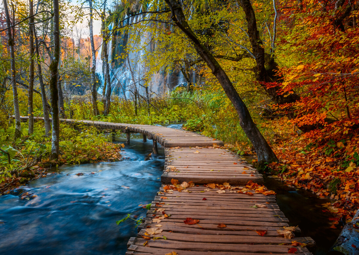 Ravensburger - Autumnal Wood Trail - 1000 - Beautiful Walkways
