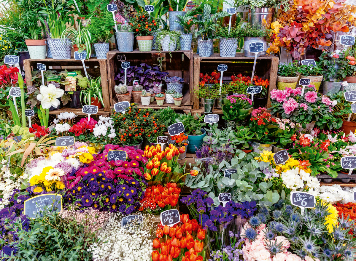 Ravensburger - Flower Market France - 500 Brikker - Colorful Markets