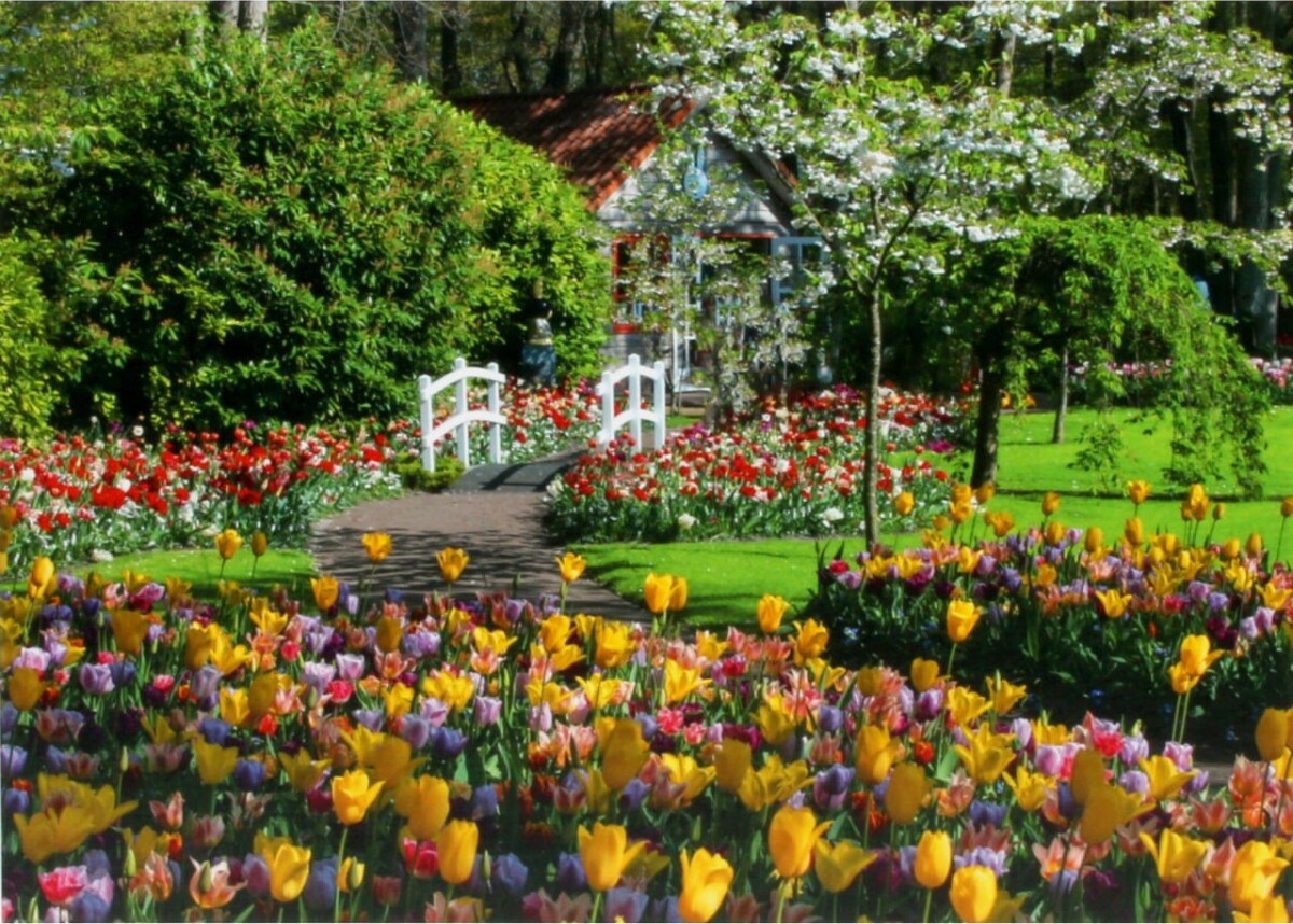 Ravensburger Puslespil - 1000 Brikker - Keukenhof Gardens