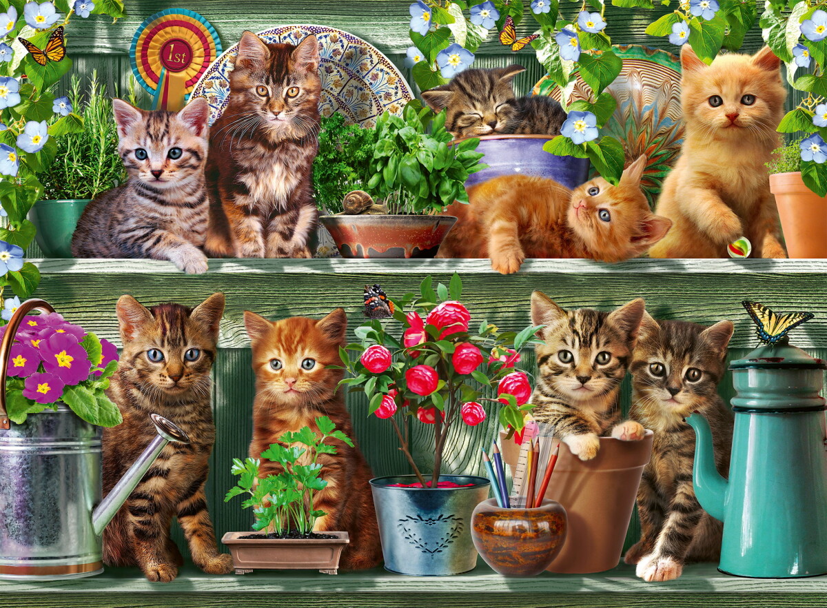 Ravensburger Puslespil - Cats On The Shelf - 500 Brikker