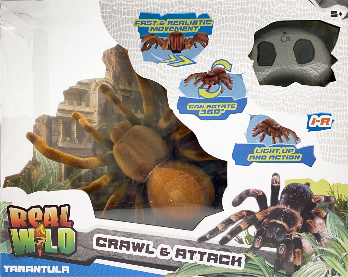 Real Wild - Giant Tarantula Spider 20316