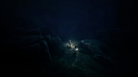 Reanimal Collectors Edition