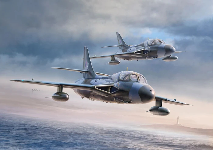 Revell 03786 - Hawker Hunter T7T7A Fly - Build Paint - 1 32
