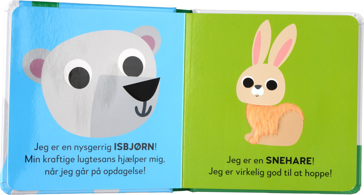 Rør Og Føl - Isbjørn På Opdagelse