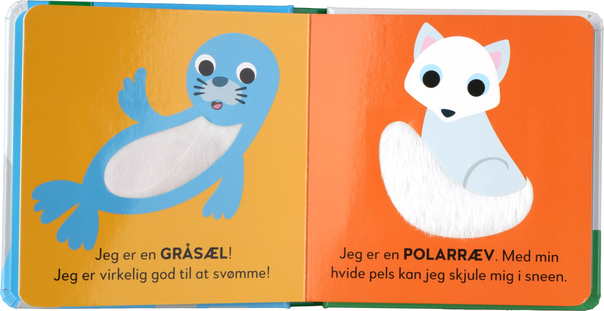 Rør Og Føl - Isbjørn På Opdagelse