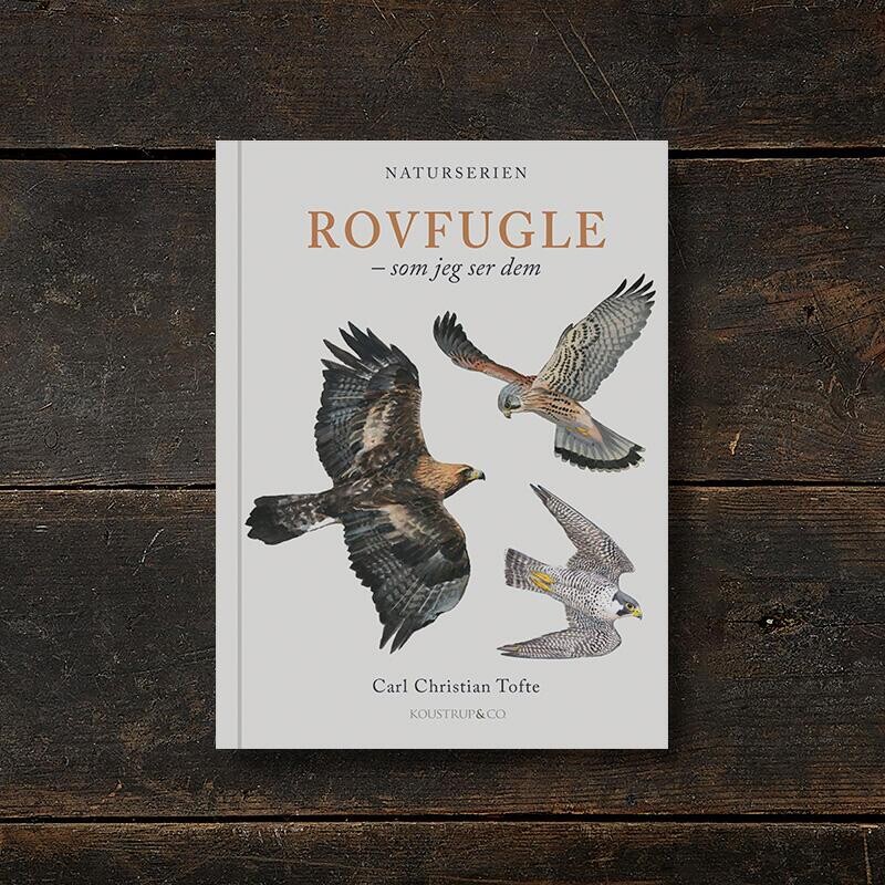Rovfugle