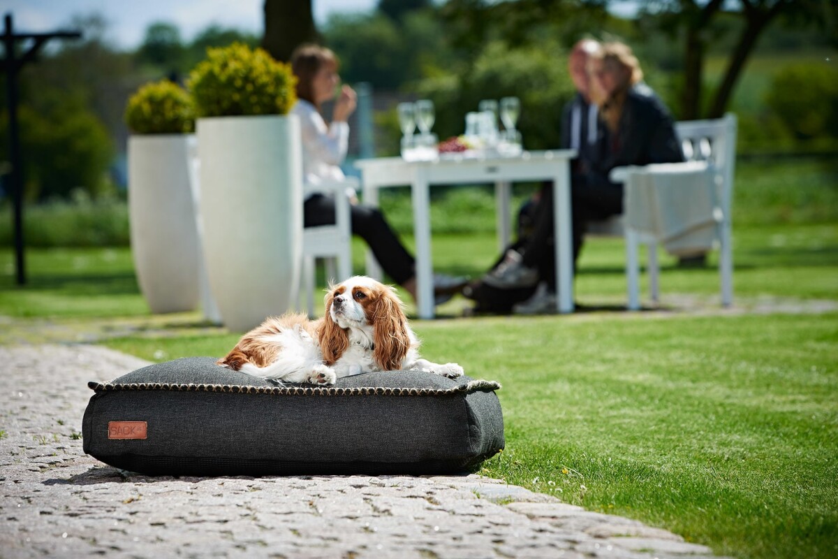 Sackit - Hundeseng Medium - 80X60X15 Cm - Cobana Sort