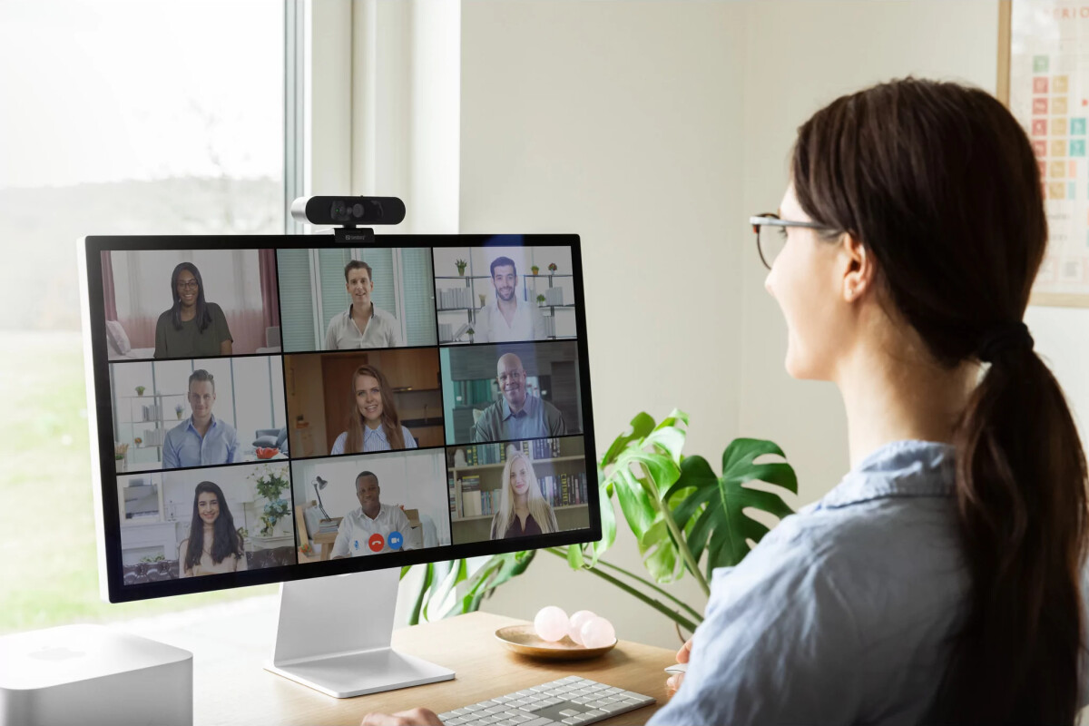 Sandberg - Face-Id Webcam 2