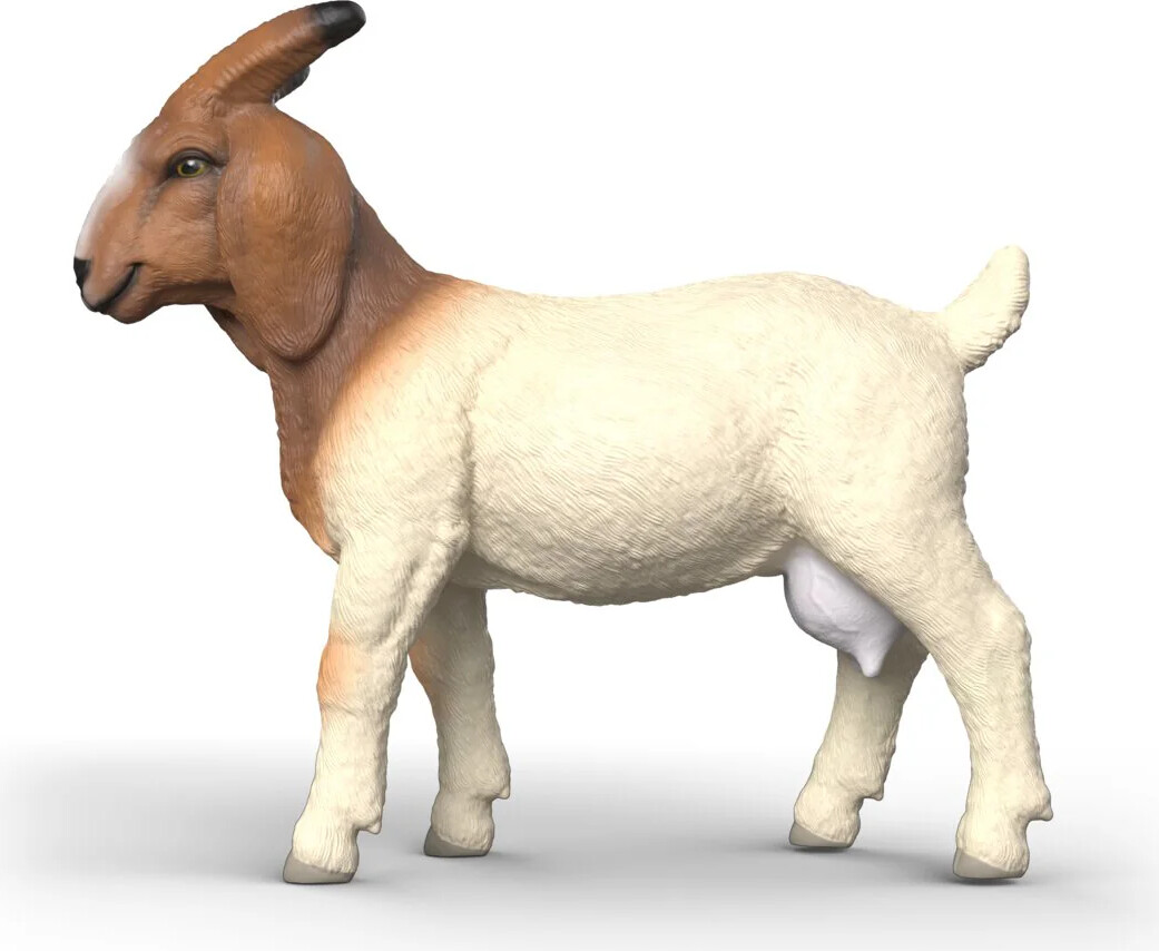 Schleich 14929 - Boer Ged - Farm World