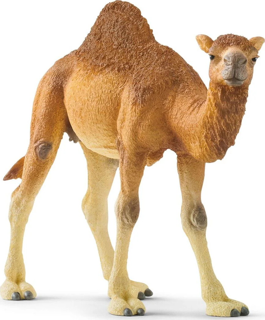 Schleich 14832 - Dromedar - Wild Life