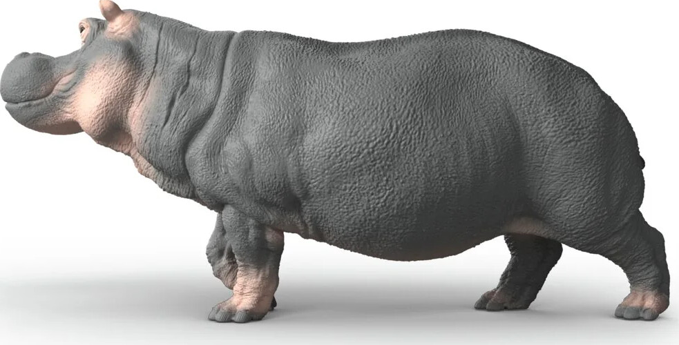 Schleich 14938 - Flodhest - Wild Life