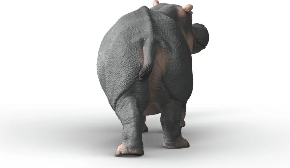 Schleich 14938 - Flodhest - Wild Life