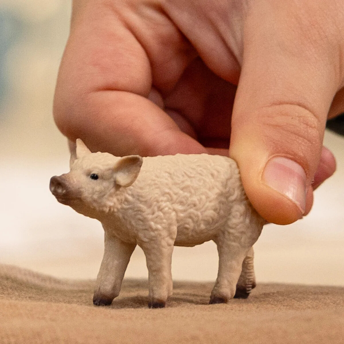 Schleich 14893 - Mangalica Grisling - Farm World