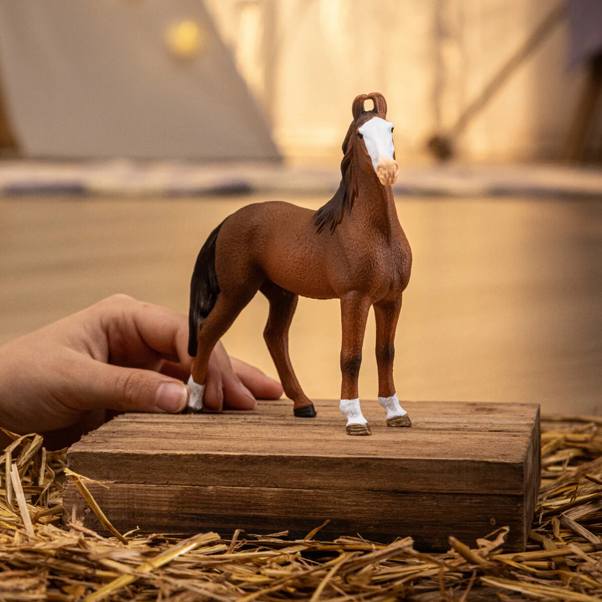 Schleich Horse Club - Marwari Hoppe - 14897