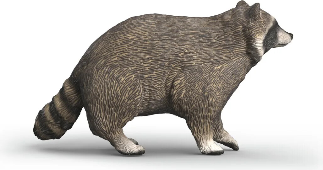 Schleich 14937 - Vaskebjørn - Wild Life