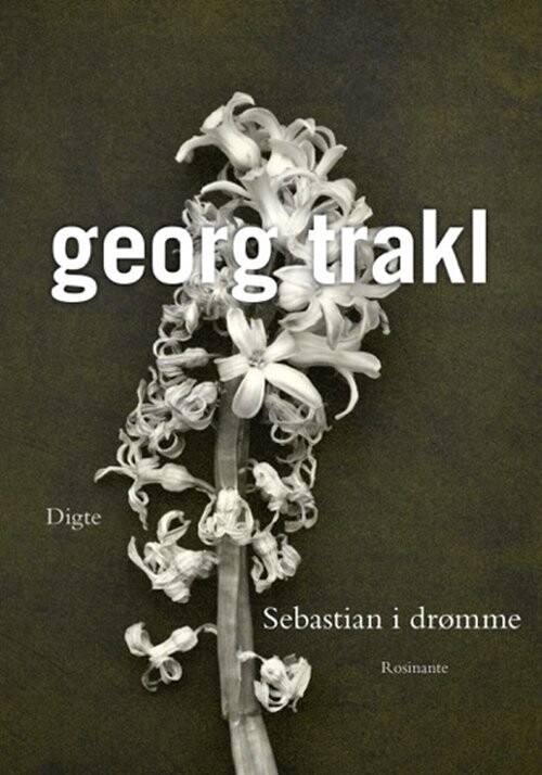 Sebastian I Drømme