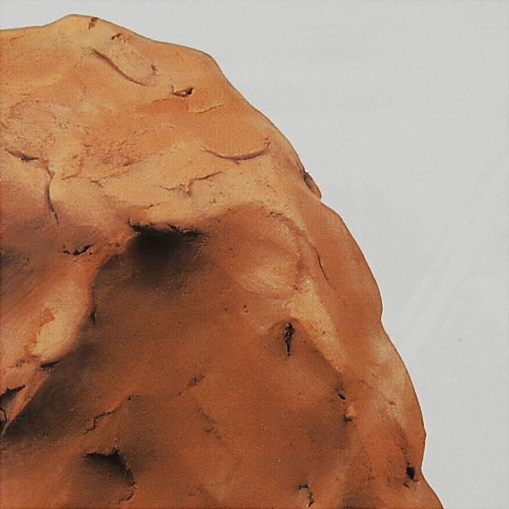 Primo Ler - Selvhærdende Ler - Terrakotta - 12X1000 G