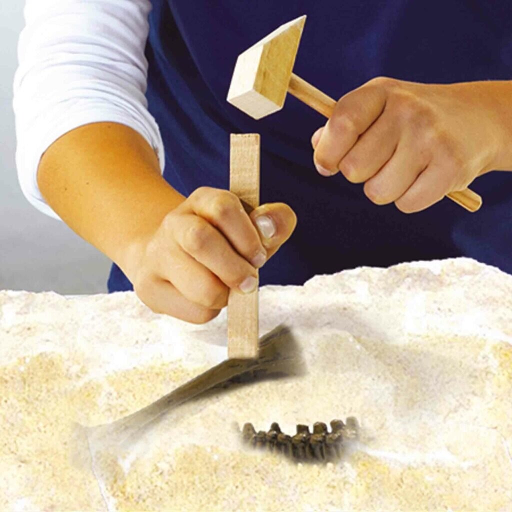 Ses Creative - Udhug - T-Rex Og Skelet