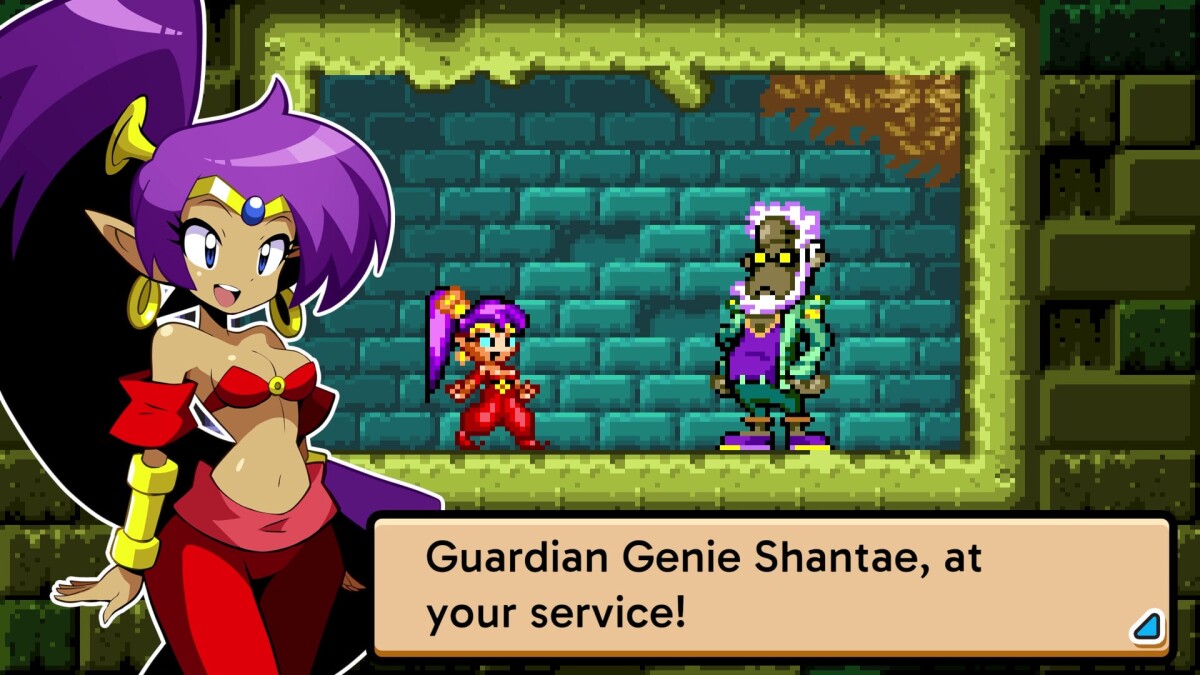 Shantae Advance Risky Revolution Limited Run Import