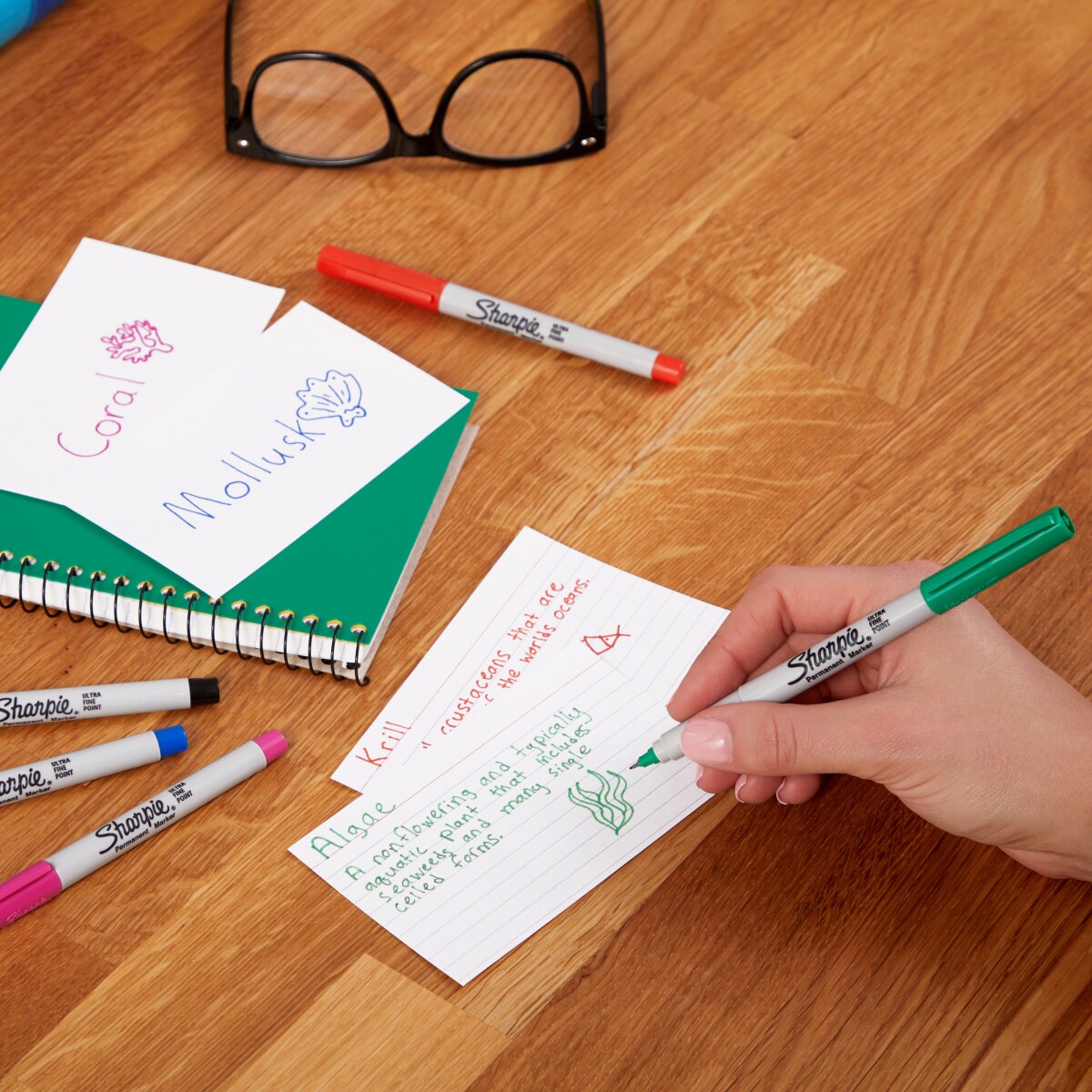 Sharpie - Tusser - Permanente - Ultra Fin - 12 Farver