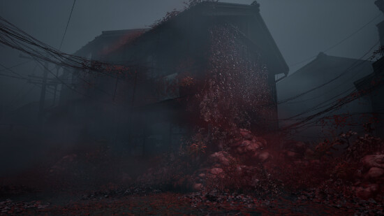 Silent Hill F Day 1 Edition