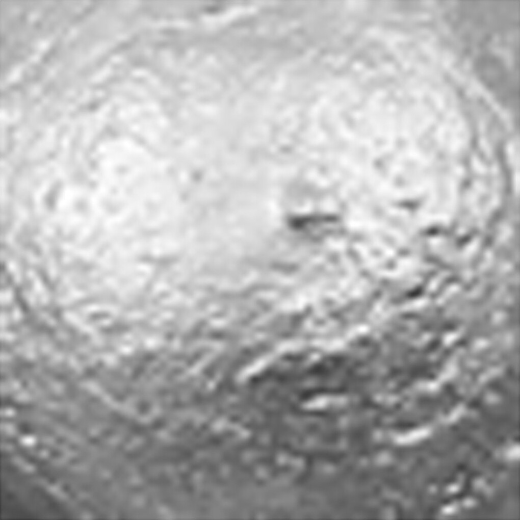 A-Color - Skole Akrylmaling - Metallic - Sølv - 500 Ml