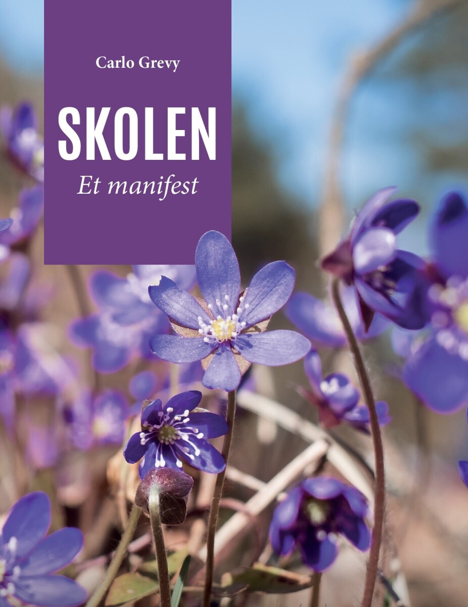 Skolen Et Manifest
