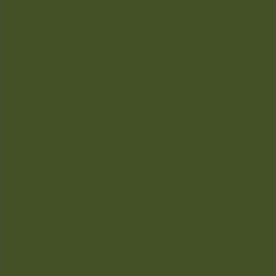 Vallejo - Environment Effects - Slimy Grime Dark 40 Ml