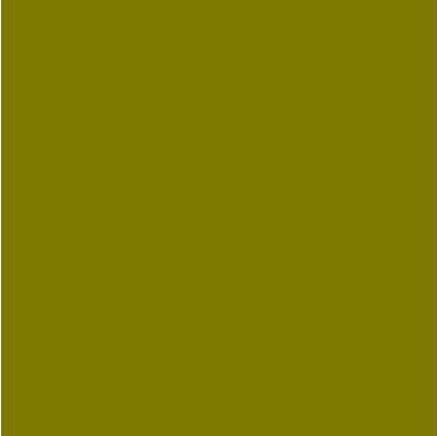 Vallejo - Environment Effects - Slimy Grime Light 40 Ml