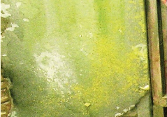 Vallejo - Environment Effects - Slimy Grime Light 40 Ml