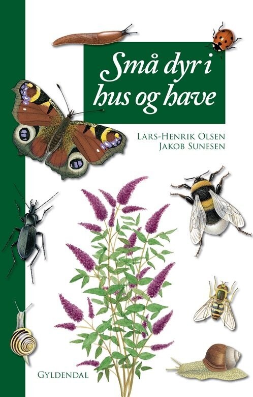 Små Dyr I Hus Og Have