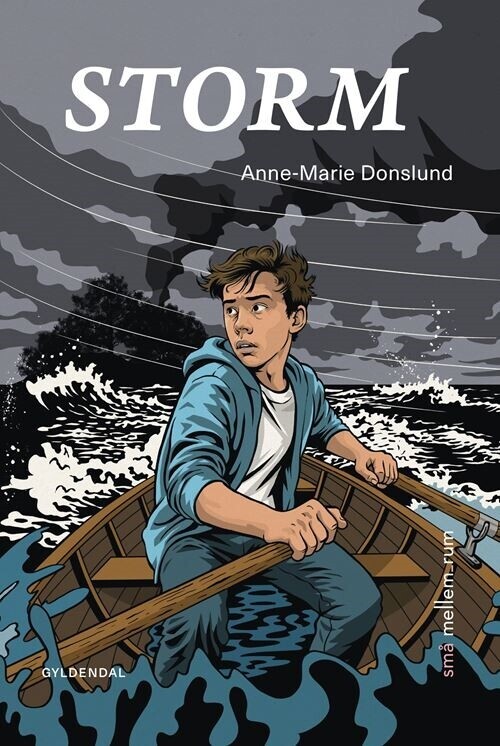 Små Mellem_Rum Storm