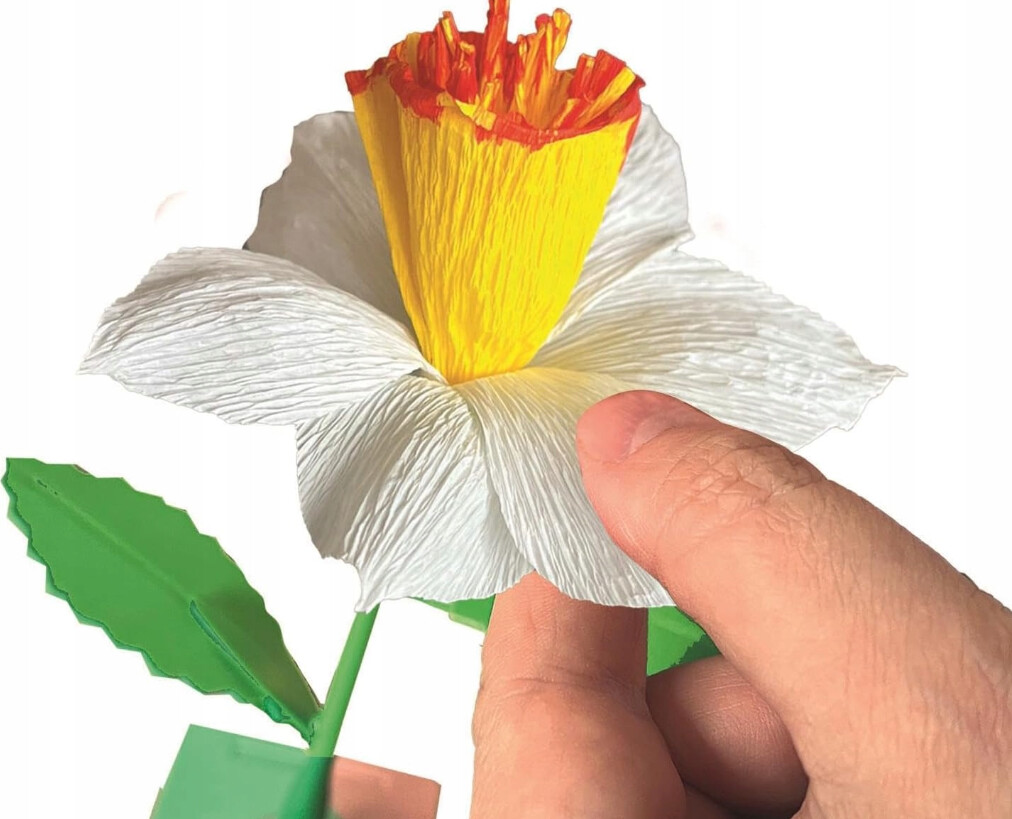 Clementoni - Create Your Flowers - Daffodil - 2 Stk