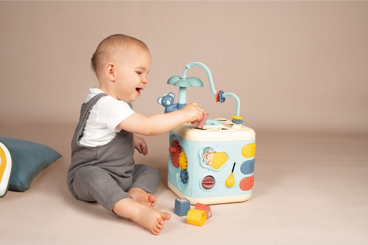 Smoby - Little Smoby Explor Cube 7600140306