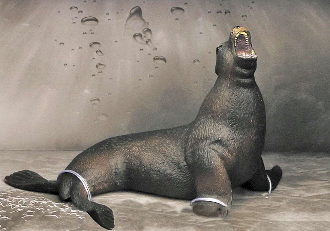 Søløve Figur - Model Series - Animal Universe - 18X11X11 5 Cm