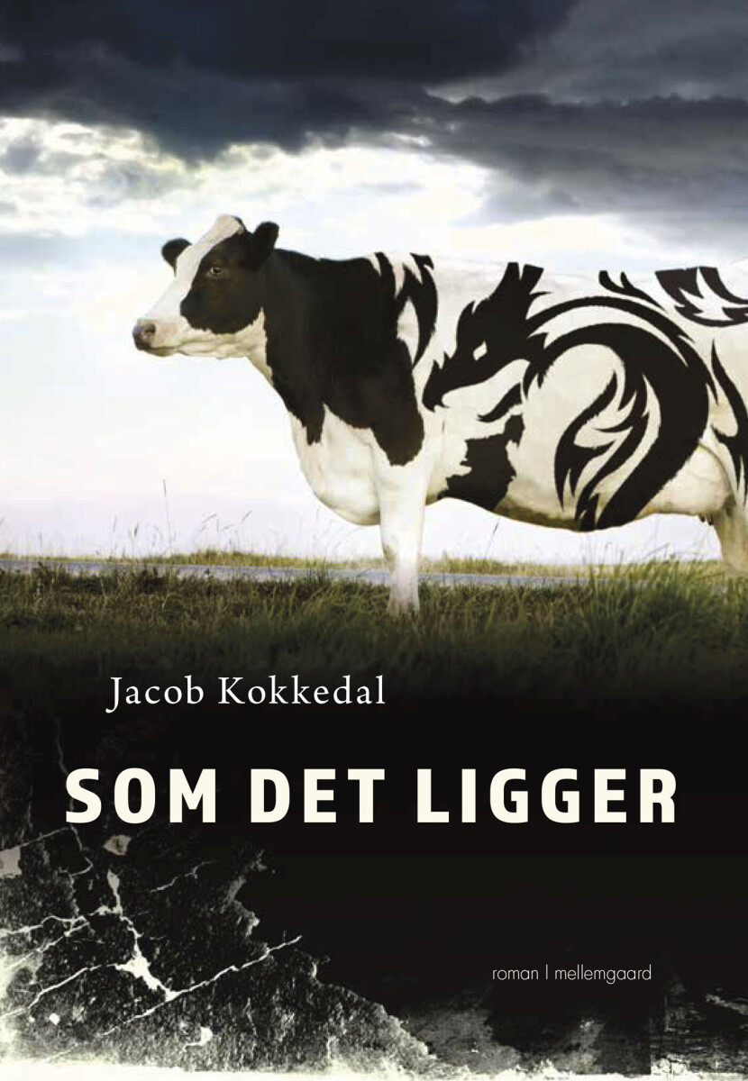 Som Det Ligger