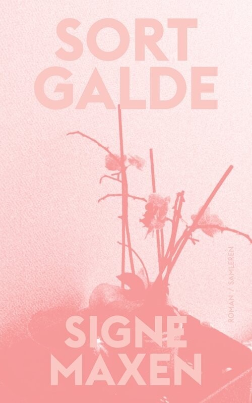 Sort Galde
