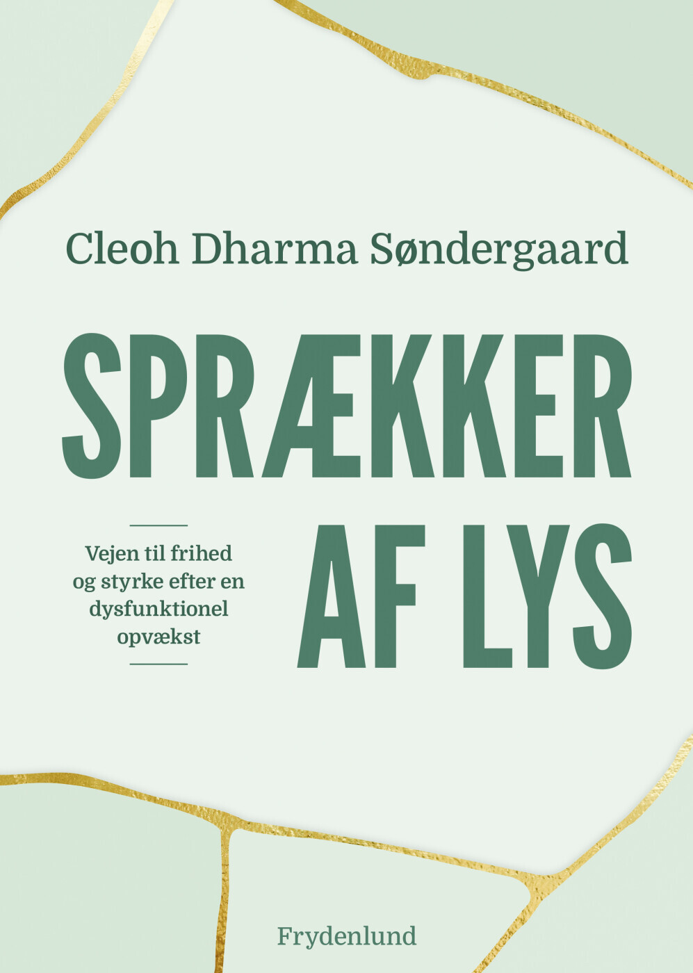 Sprækker Af Lys