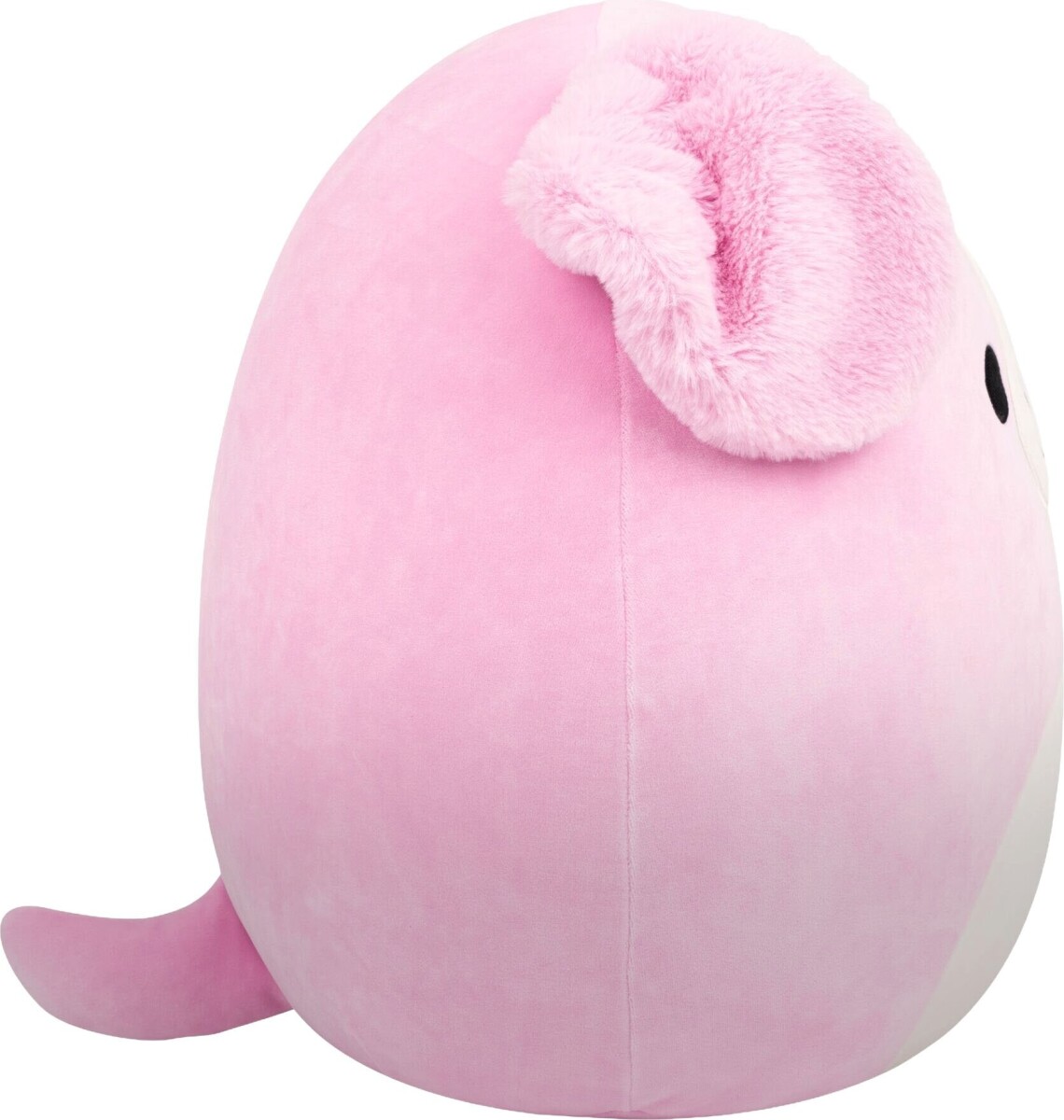 Squishmallows - 40 Cm Plush P26 - Peggy Sue Golden Retriever