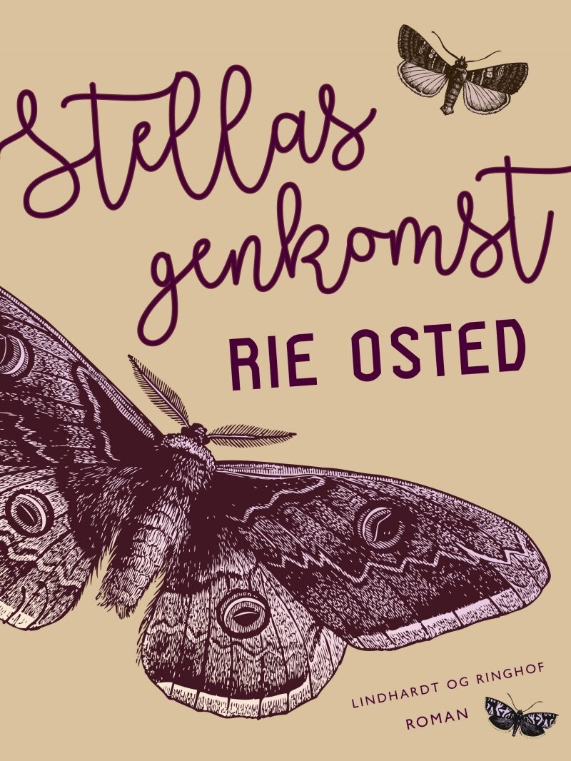 Stellas Genkomst