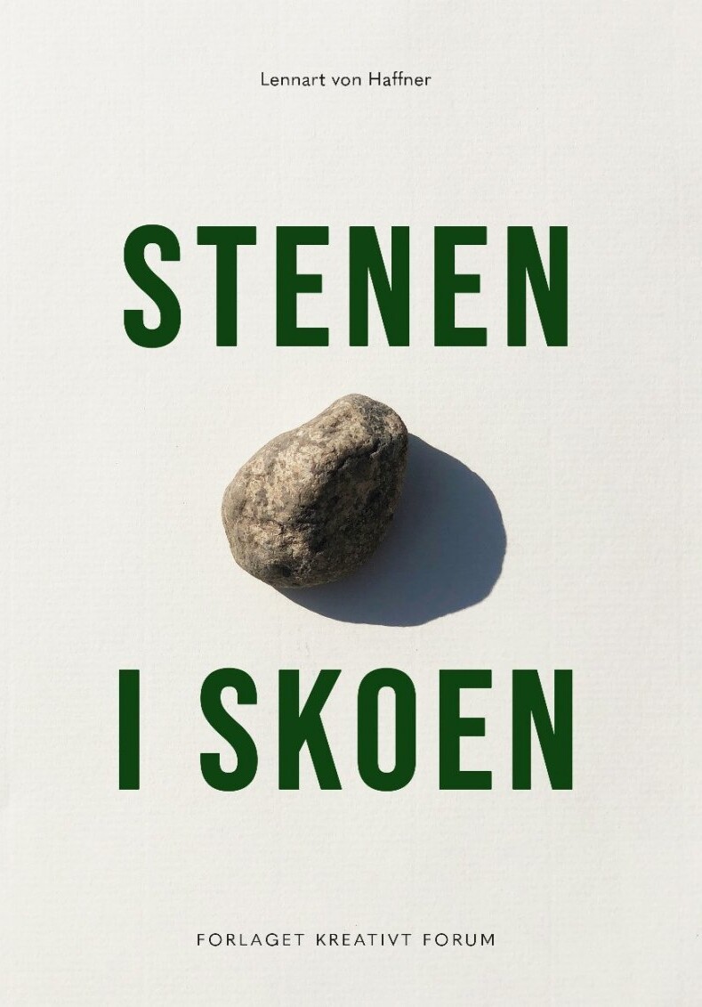 Stenen I Skoen
