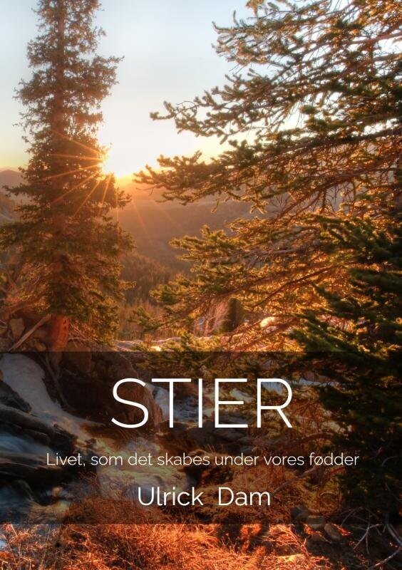 Stier