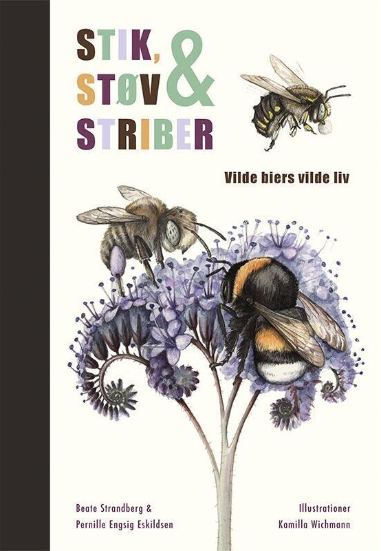 Stik Støv Og Striber