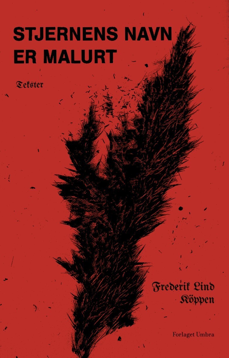 Stjernens Navn Er Malurt - Tekster