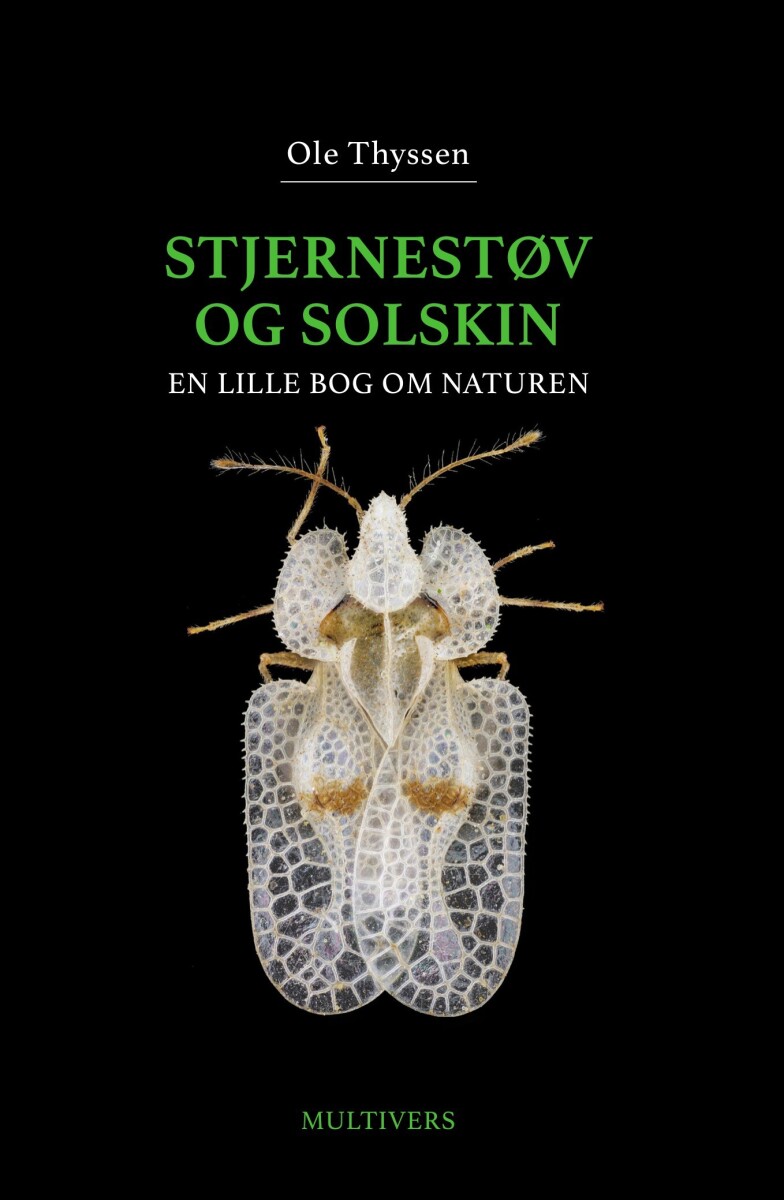 Stjernestøv Og Solskin