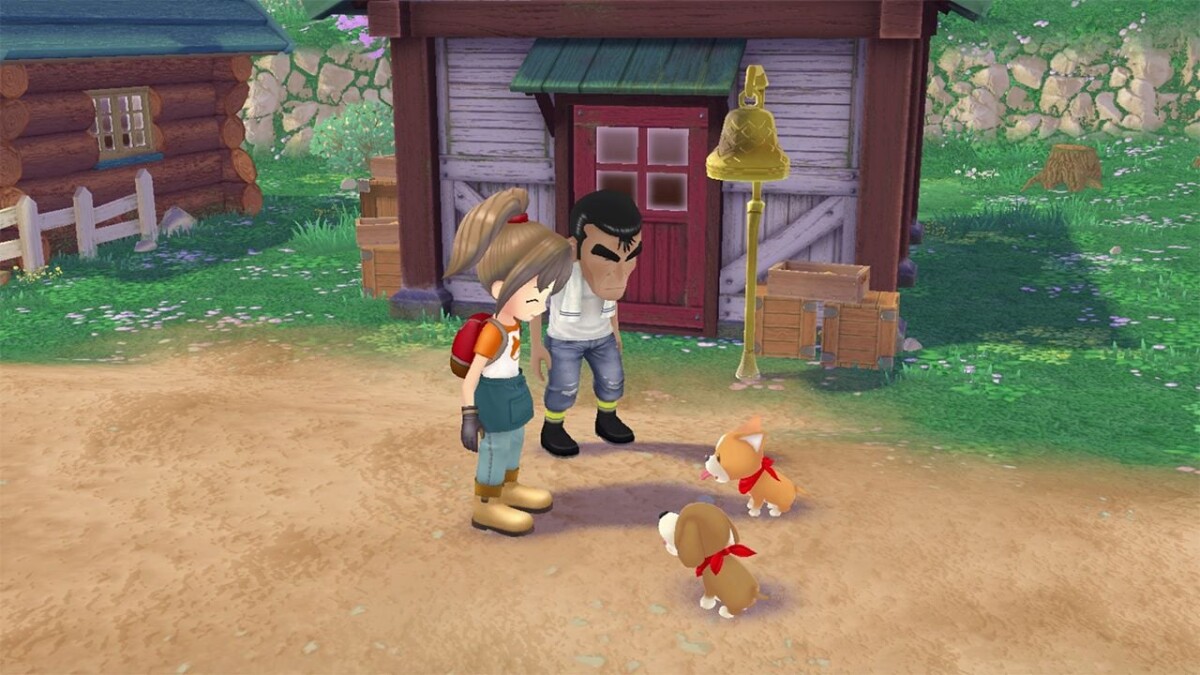 Story Of Seasons A Wonderful Life Limited Edition