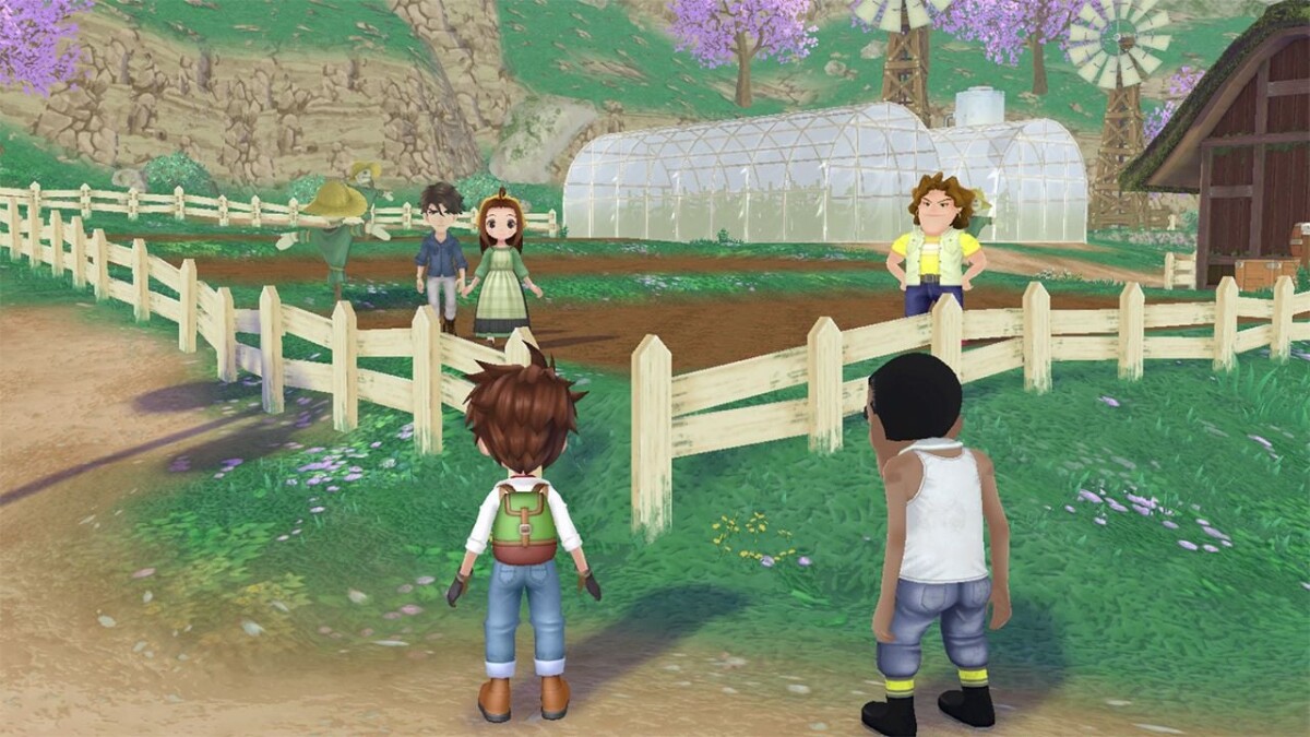 Story Of Seasons A Wonderful Life Limited Edition