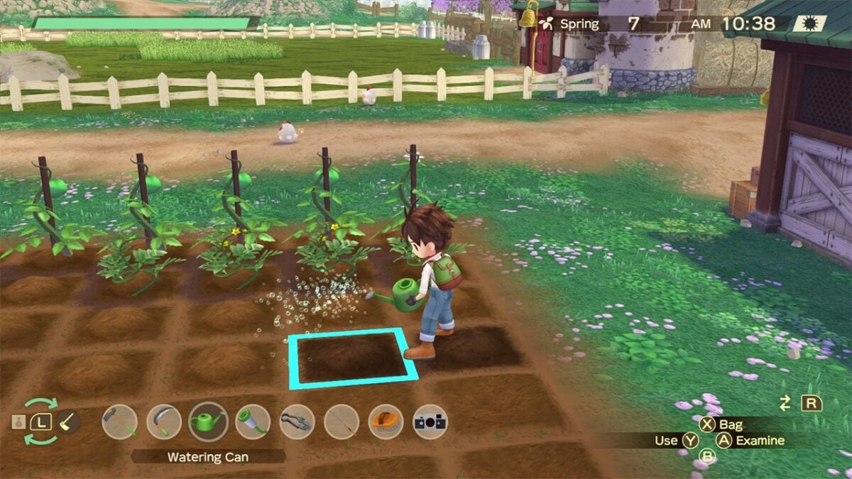 Story Of Seasons A Wonderful Life Limited Edition