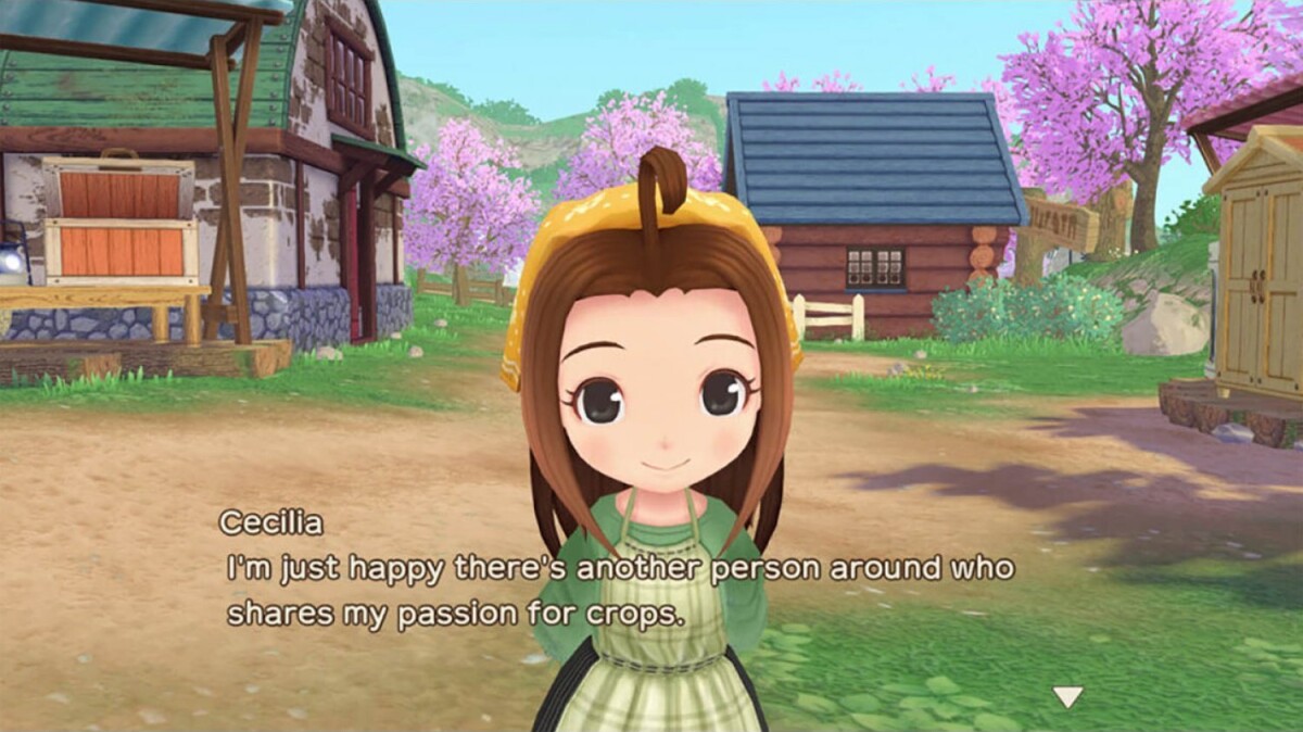 Story Of Seasons A Wonderful Life
