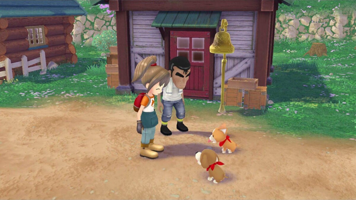 Story Of Seasons A Wonderful Life